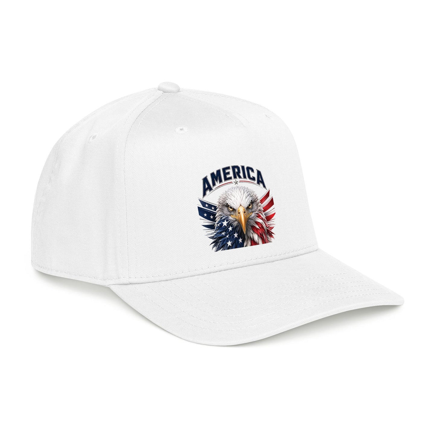 American Eagle Mid Profile Baseball Cap