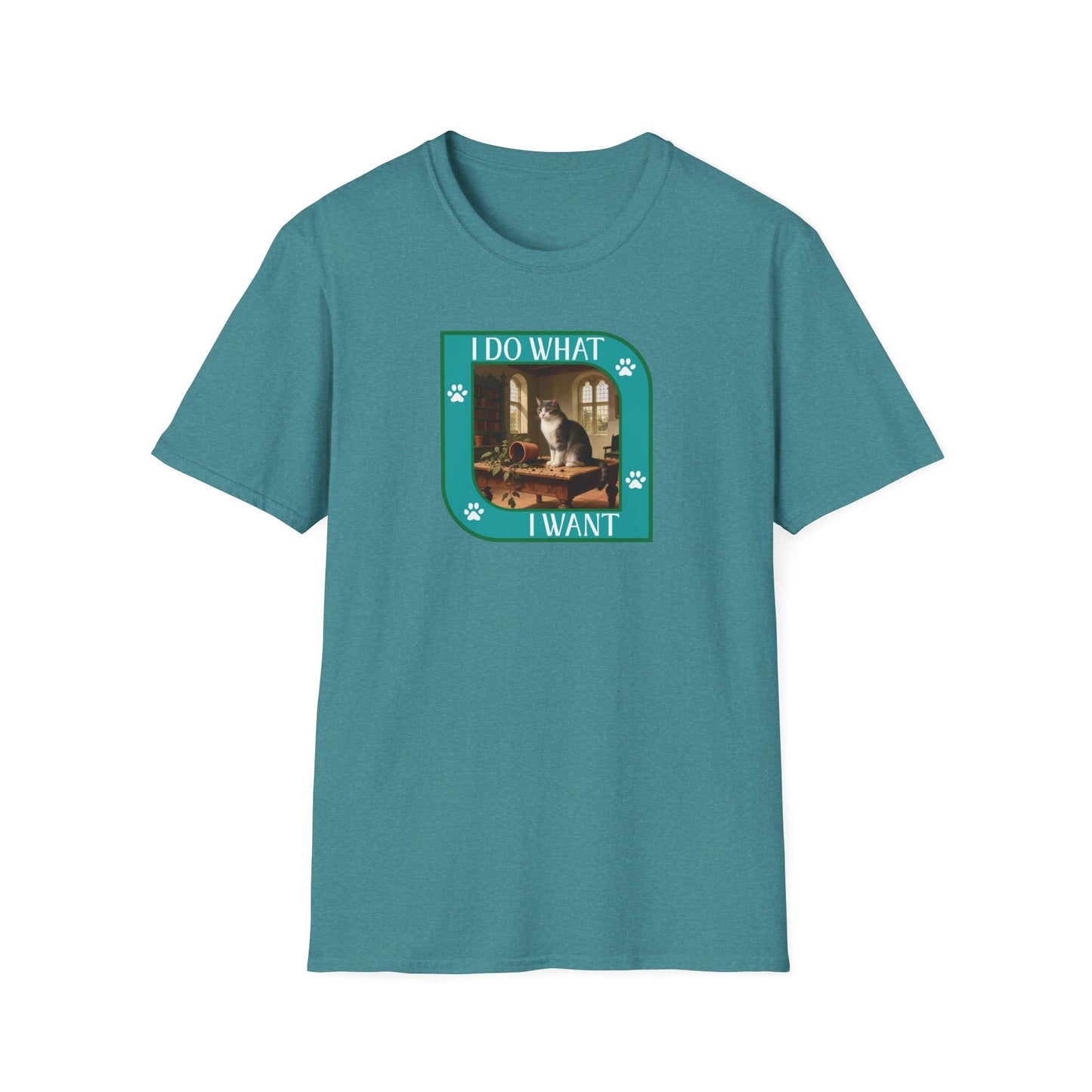 I Do What I Want Unisex Softstyle T-Shirt