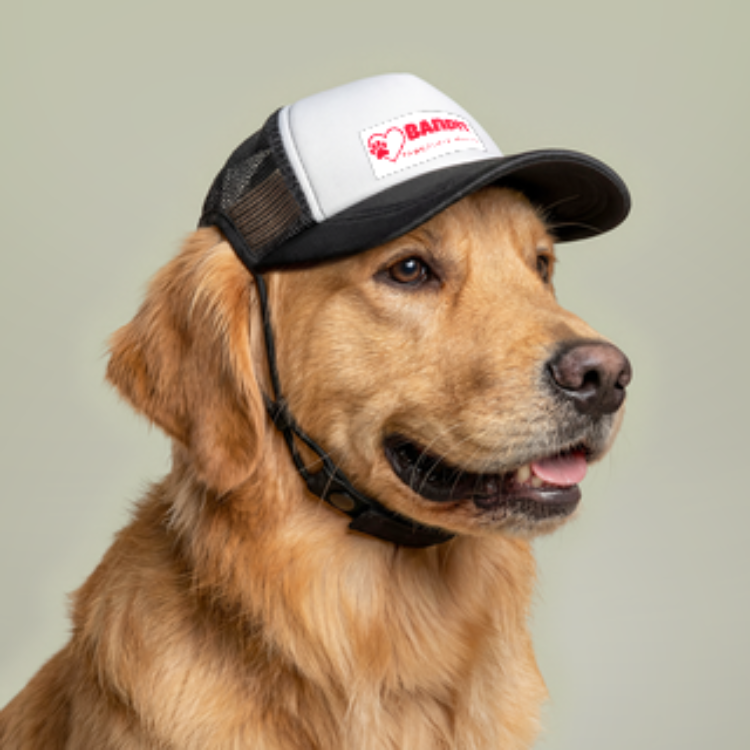 Pawsitively Spoiled, PERSONALIZED Dog Foam Trucker Hat
